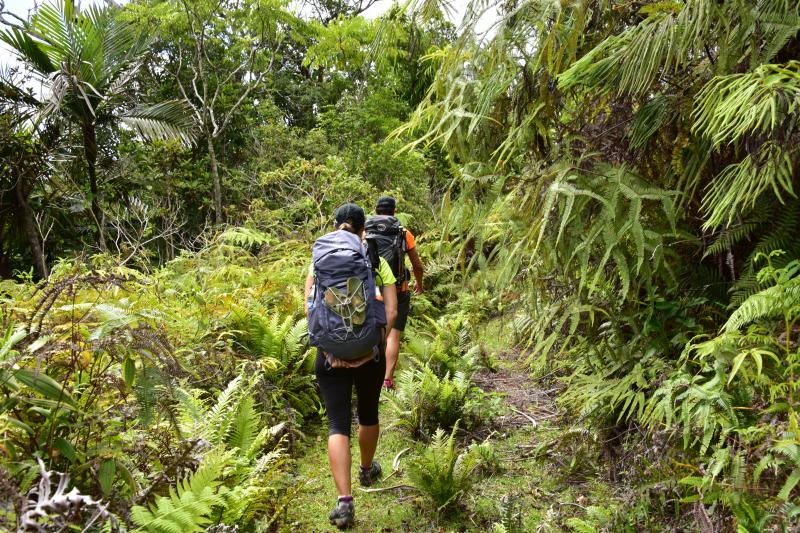 GR® NORD Étape n°1 :  De la tribu de Napoepa à la tribu de Câba (Tchamba)