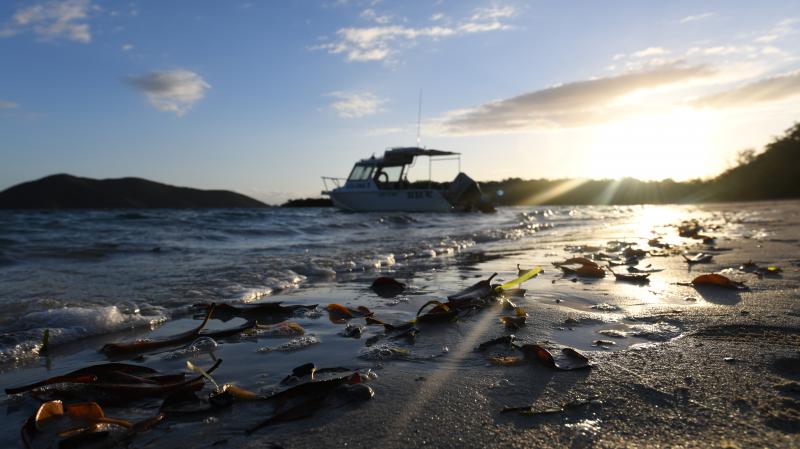 Excursion en mer sur l