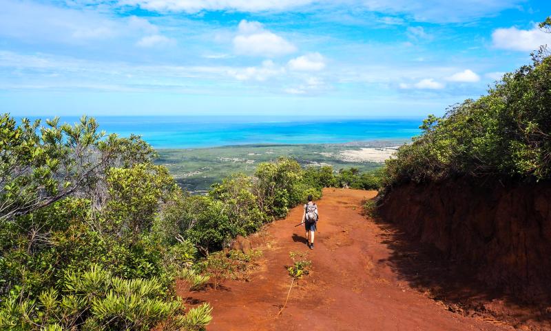 Sentier libre le Plateau de Tia