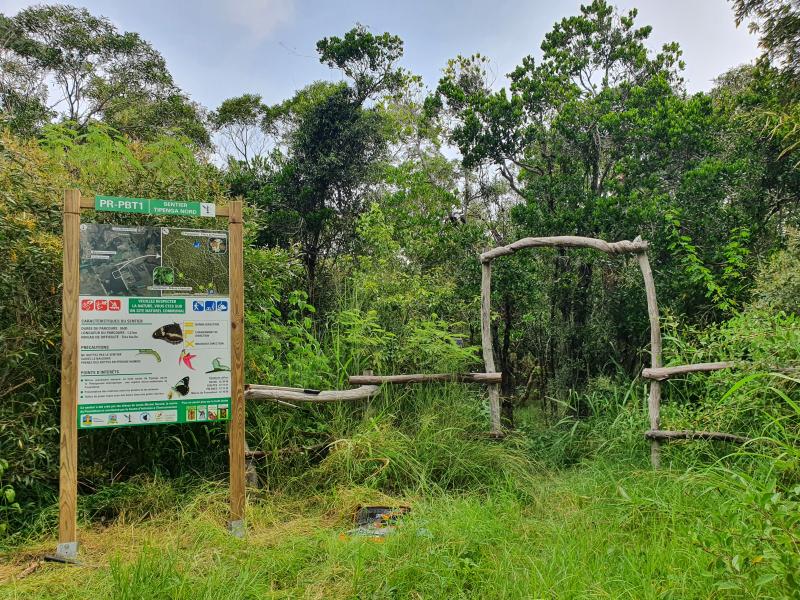 Sentier libre de la forêt sèche de Tipenga