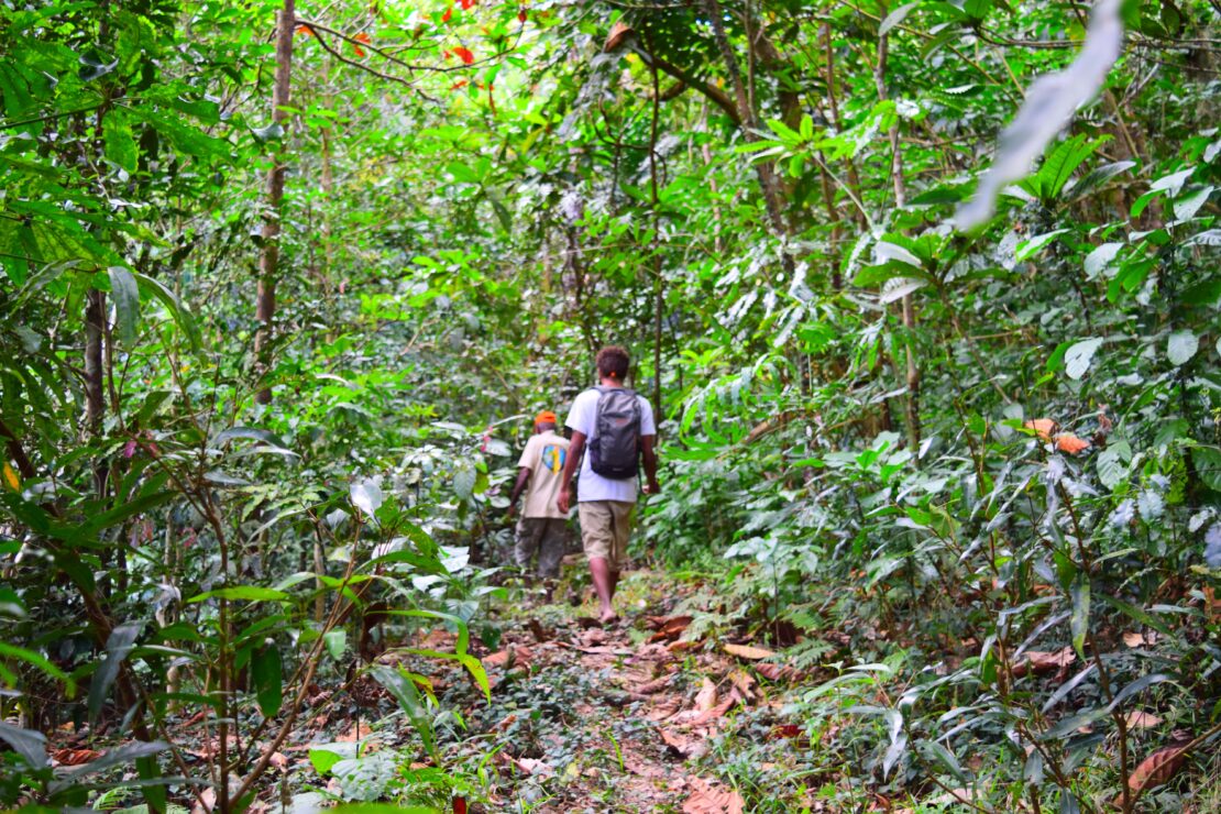 Randonnée à la tribu de Tiwaé