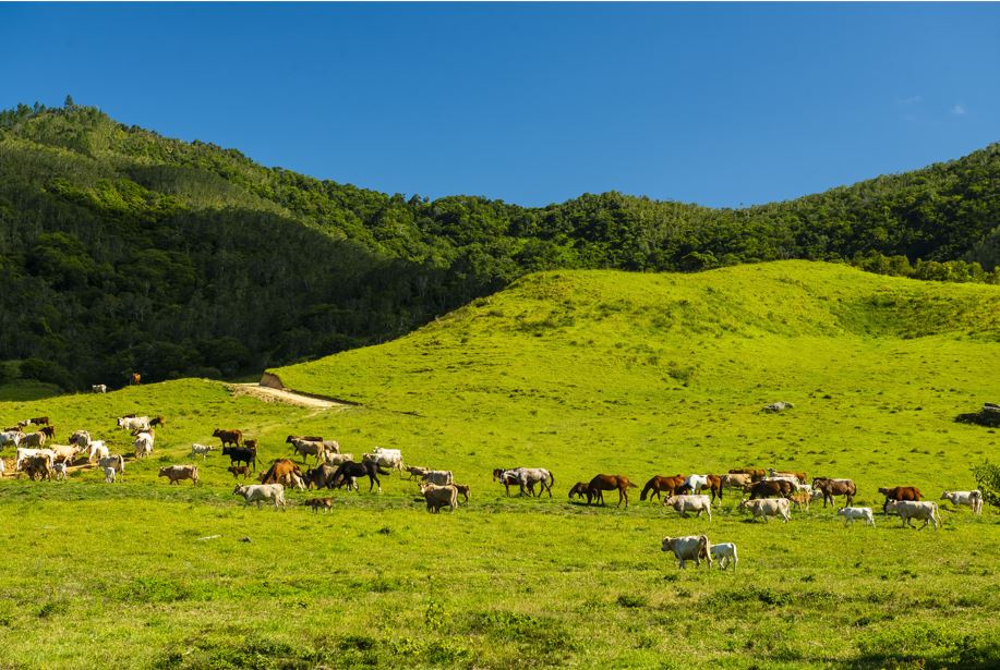 Propriété Blancher